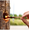 Candela siberiana tronco in legno con foro.