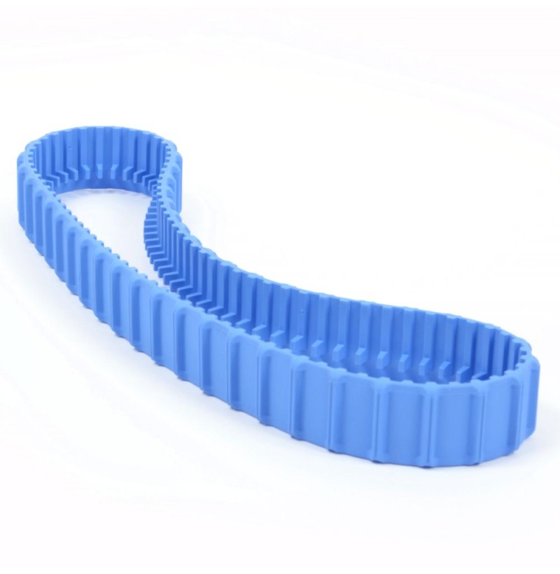 Cingolo blu per pulitore Dolphin serie S