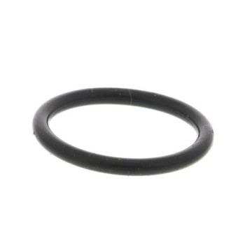 O'ring per sterilizzatore Ei