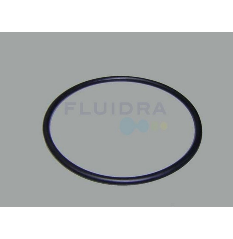 O-Ring prefiltro pompa A.Victoria Plus