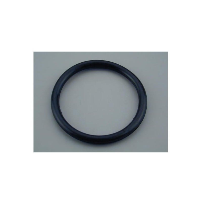 O-Ring per faro proiettore Astralpool