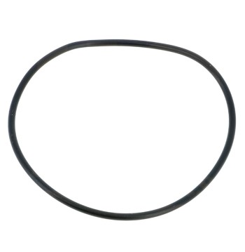 O-ring corpo pompa WSC