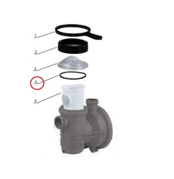 O-ring per coperchio pompa...